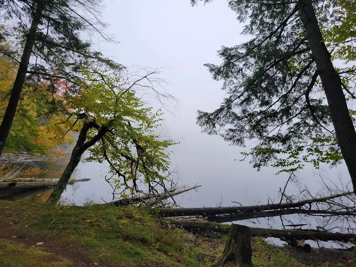 Laura Lake Campground Picture 12