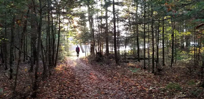 Laura Lake Campground Picture 15