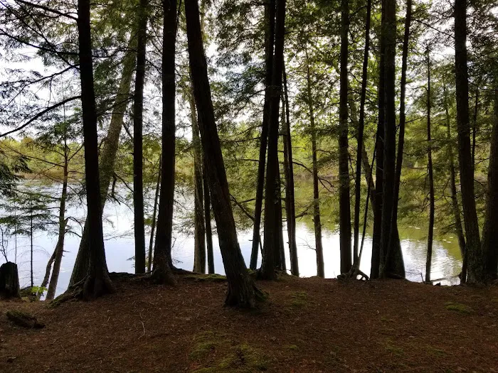 Laura Lake Campground Picture 11