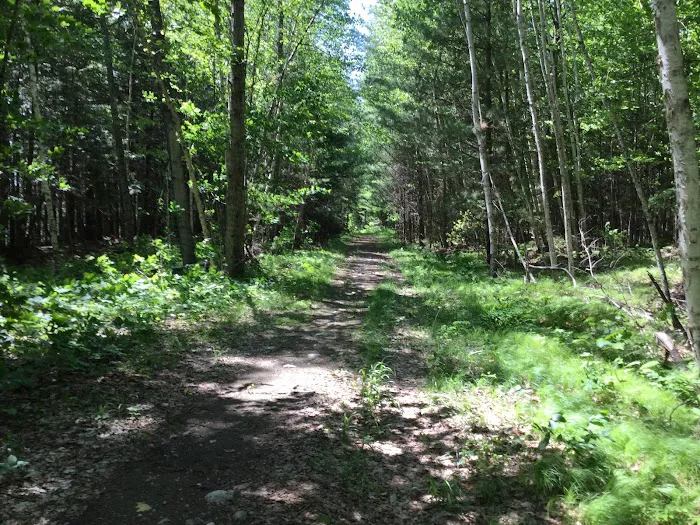 Laura Lake Campground Picture 14