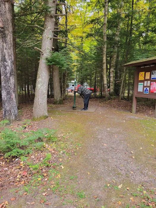 Laura Lake Campground Picture 16