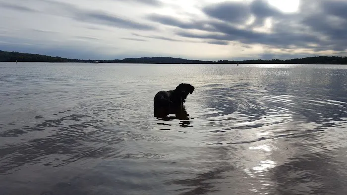 Lake Antoine Camp Grounds Picture 9