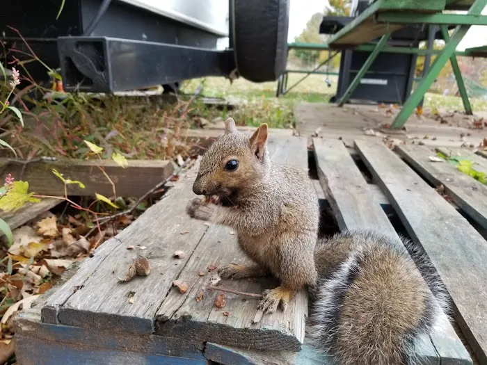 Crosby's On The Chippewa Picture 9