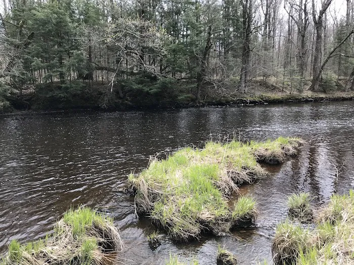 Chequamegon Waters Dispersed Recreation Area Picture 4