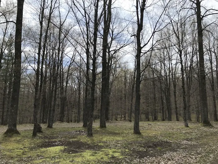Chequamegon Waters Dispersed Recreation Area Picture 1