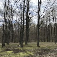 Chequamegon Waters Dispersed Recreation Area ico