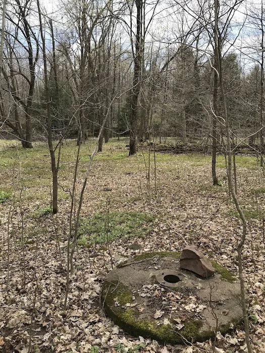 Chequamegon Waters Dispersed Recreation Area Picture 7