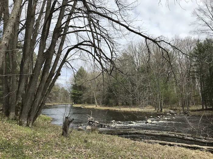 Chequamegon Waters Dispersed Recreation Area Picture 5