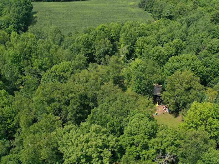 Chippewa Campground Picture 4