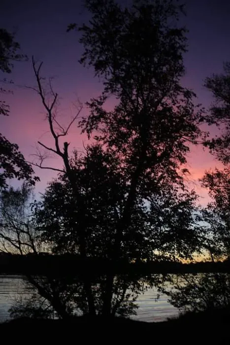 Pine Point Campground Picture 8