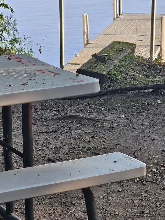 Pine Point Campground Picture 6