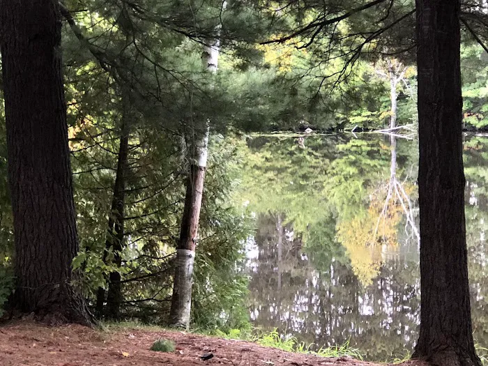 Pine Point Campground Picture 3