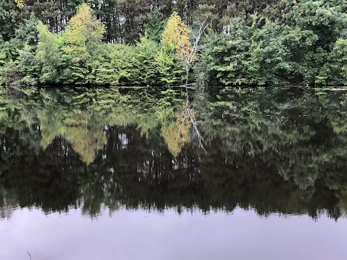 Pine Point Campground Picture 2