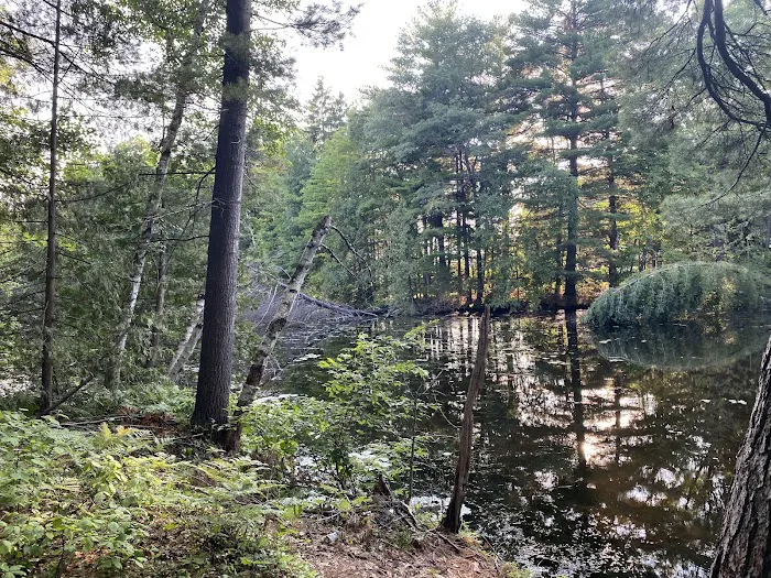 Pine Point Campground Picture 1