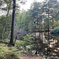 Pine Point Campground ico
