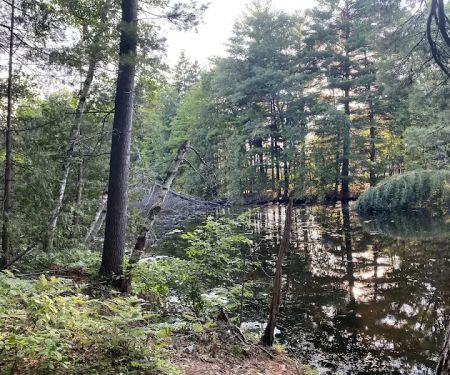 Pine Point Campground