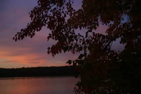 Pine Point Campground Picture 9