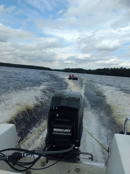 White Birch Inc Picture 2