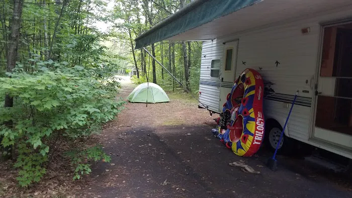 White Birch Inc Picture 6