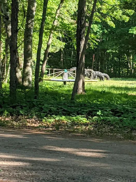 White Birch Inc Picture 7