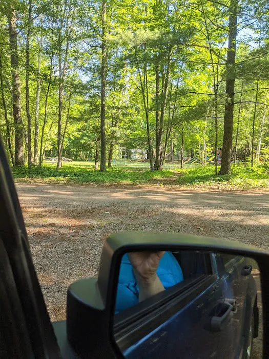 White Birch Inc Picture 8