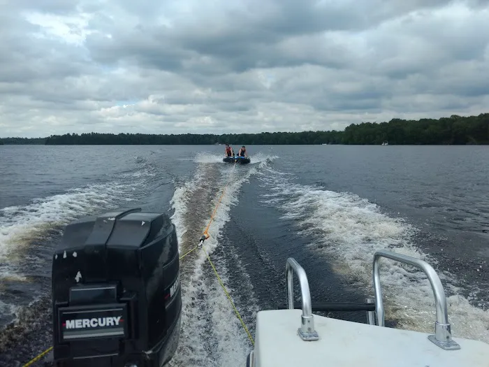 White Birch Inc Picture 3