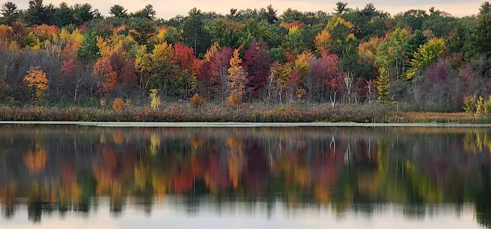 R & R Bar & Campground Picture 3