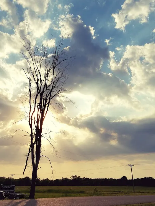 R & R Bar & Campground Picture 10