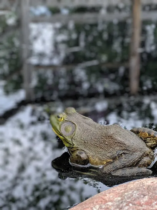 R & R Bar & Campground Picture 6