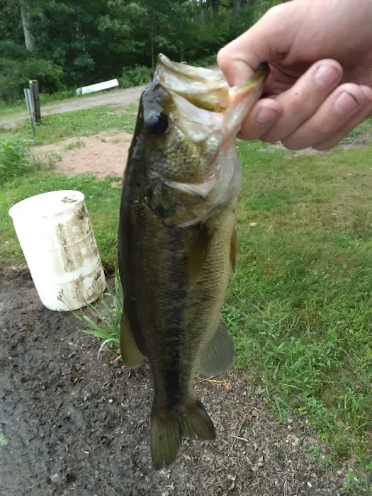 Salisbury Campground Picture 8