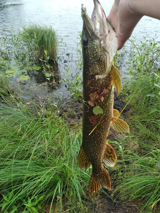 Salisbury Campground Picture 9