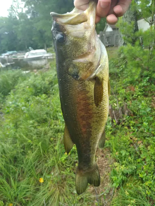 Salisbury Campground Picture 1