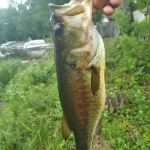 Salisbury Campground