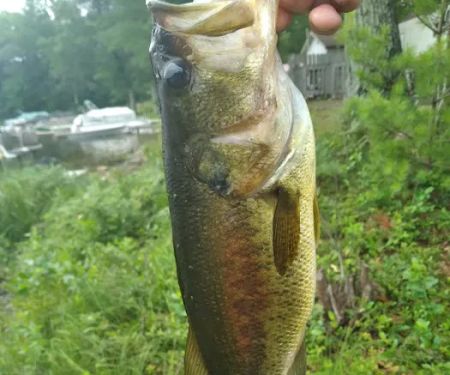 Salisbury Campground