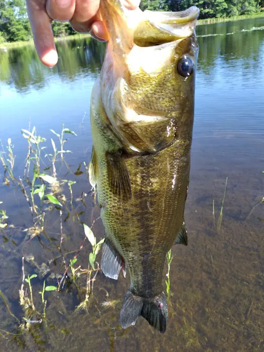 Salisbury Campground Picture 7