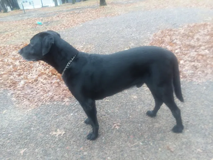 Salisbury Campground Picture 2