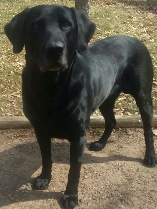 Salisbury Campground Picture 5