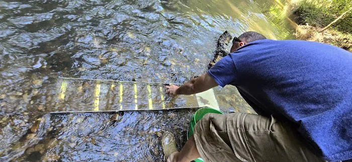 Nugget lake campground Picture 9