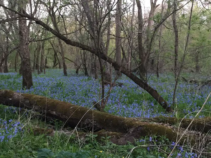 Hidden Meadows RV Park & Campground Picture 9