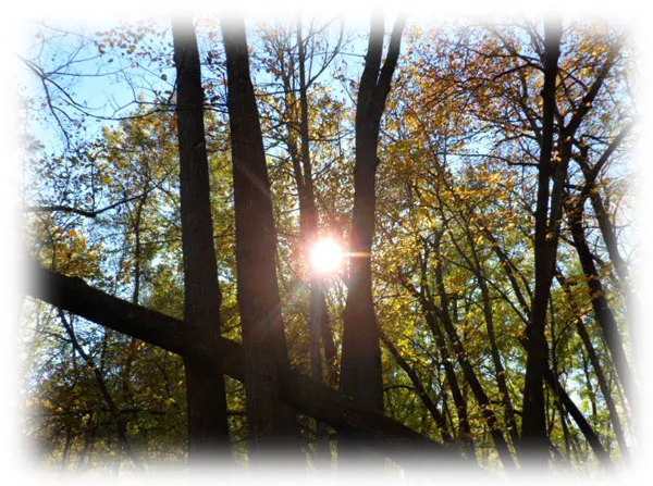 Hidden Meadows RV Park & Campground Picture 10