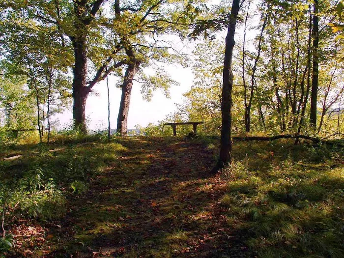 Nugget Lake County Park Picture 4