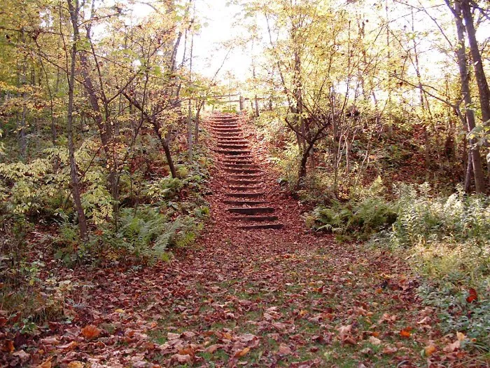 Nugget Lake County Park Picture 10
