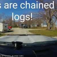 Wild Oak Campground ico