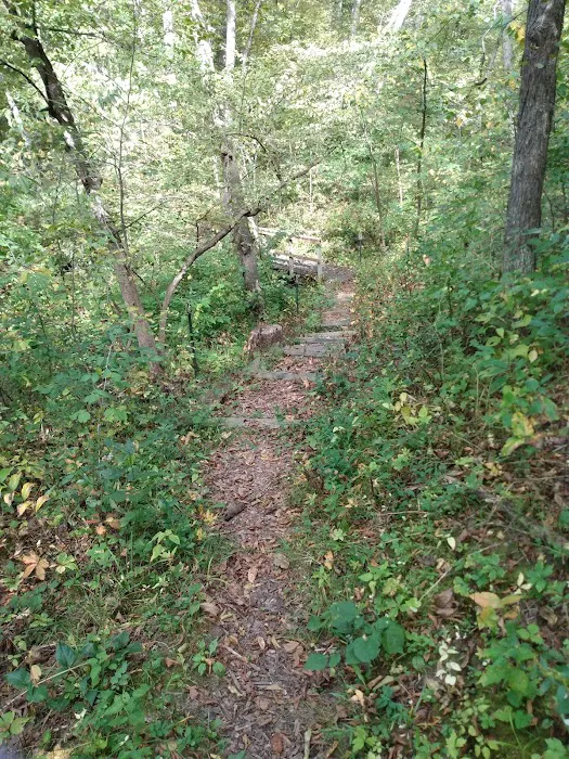 Ashton-Wildwood Campground Picture 4