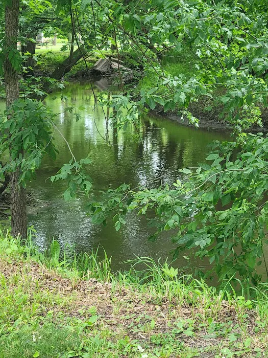 River View Campground Picture 5