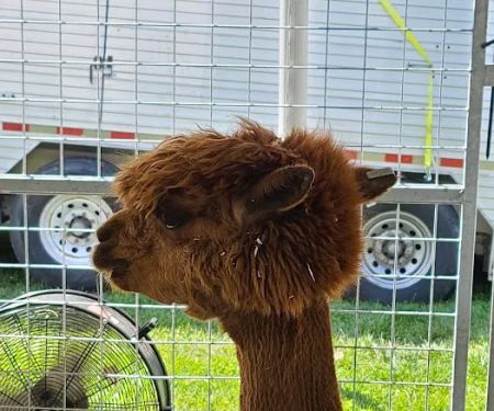 Steele County Fairgrounds Campground