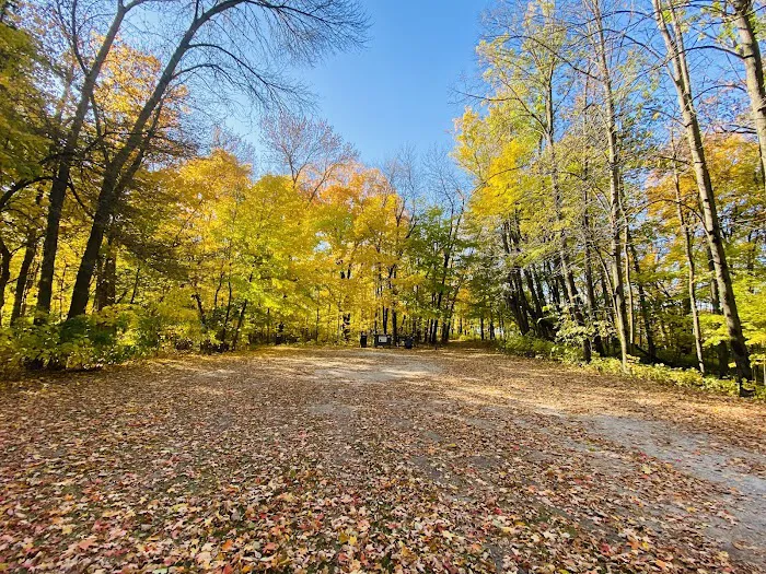 Cart-In Campsites Picture 4