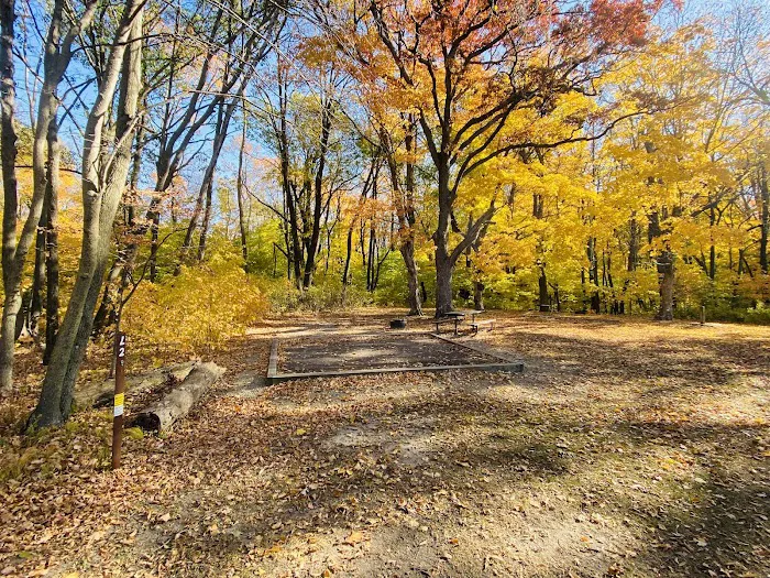 Cart-In Campsites Picture 2