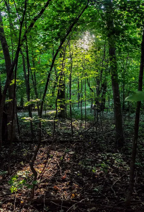 Rice Lake State Park Campground Picture 6