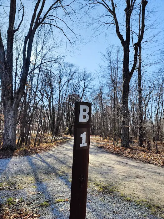 Rice Lake State Park Campground Picture 5